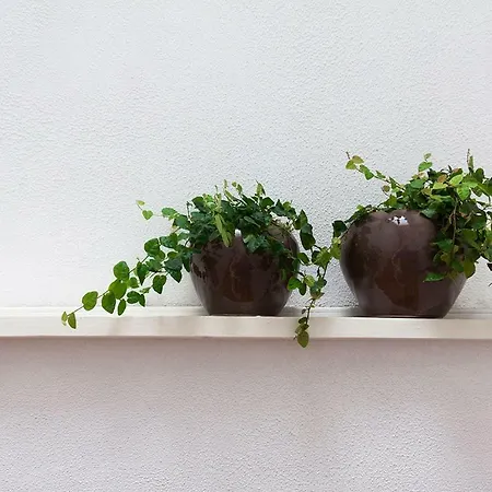 Lägenhet Casa Devesas