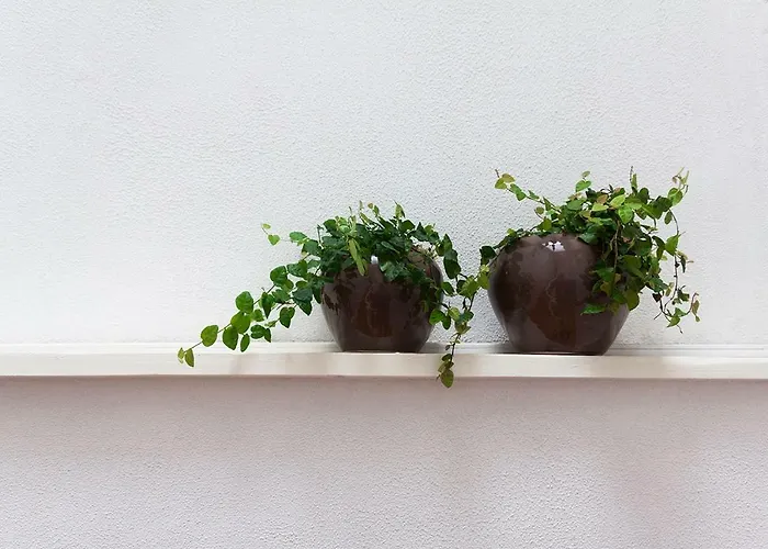 Apartment Casa Devesas